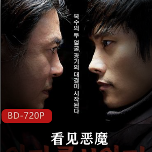 韩国惊悚罪案电影(看见恶魔)高清中字推荐