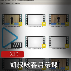 （咏春启蒙课）教程