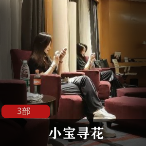 小鲜肉(小宝寻花)邂逅高雅迷人御姐,度过心醉神迷之夜