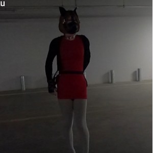 11部精选媚黑视频，总时长270分钟，自行打包百度盘分享，充值链接，作者承诺补贴，观感好，绝对值得一看！