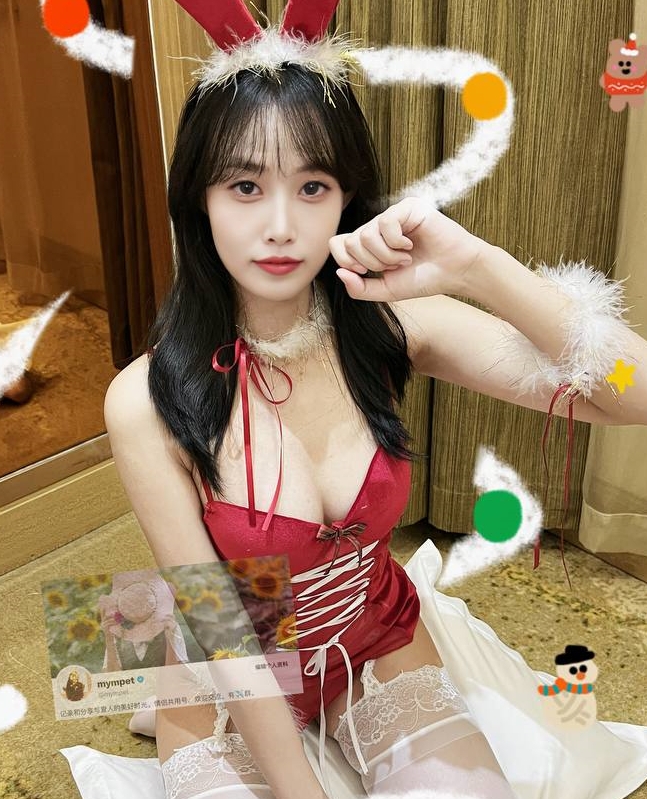 迷人女神mympet福利合集：341个视频，总大小2.17g