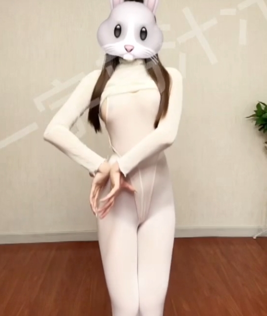 顶级舞蹈生百度盘合集85V152P+20.8G,户外一字马展示与暴力指教