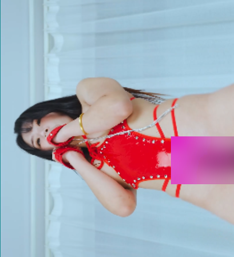 转载搬运艺舞吧晨晨精品合集3丝袜长腿美女热舞14V7.81G,加密破解百度盘