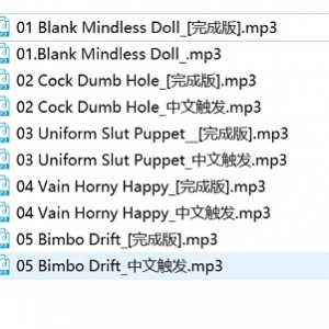 网盘Bambi伪娘助眠音声10V入门150M酥麻入骨