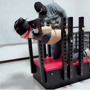 劲爆缚心室SM系列14部19G